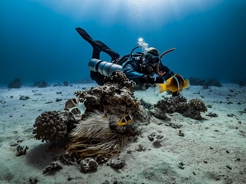 Marine Life Exploration