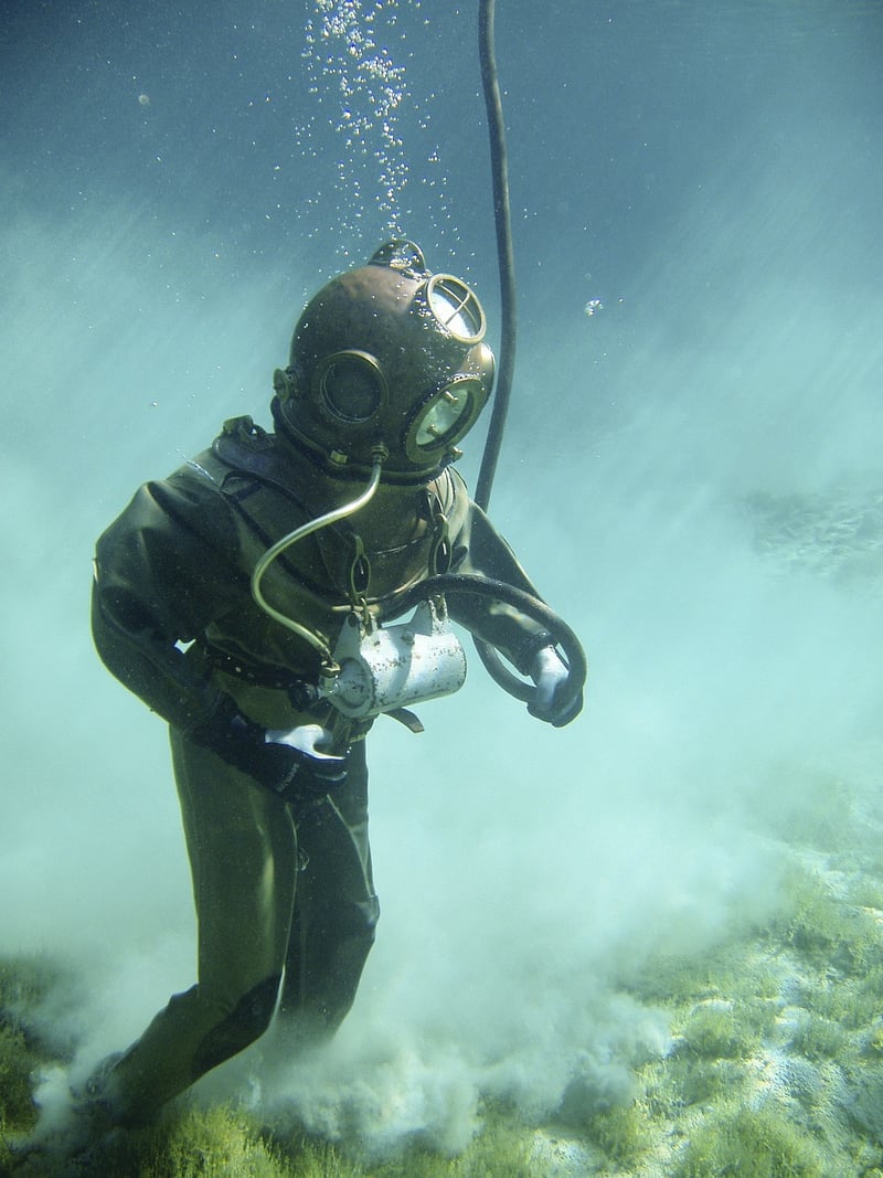 Diver exploring marine life